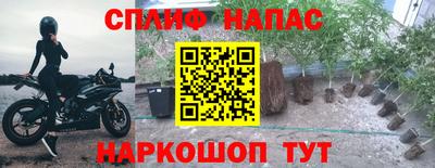 шишки Можайск