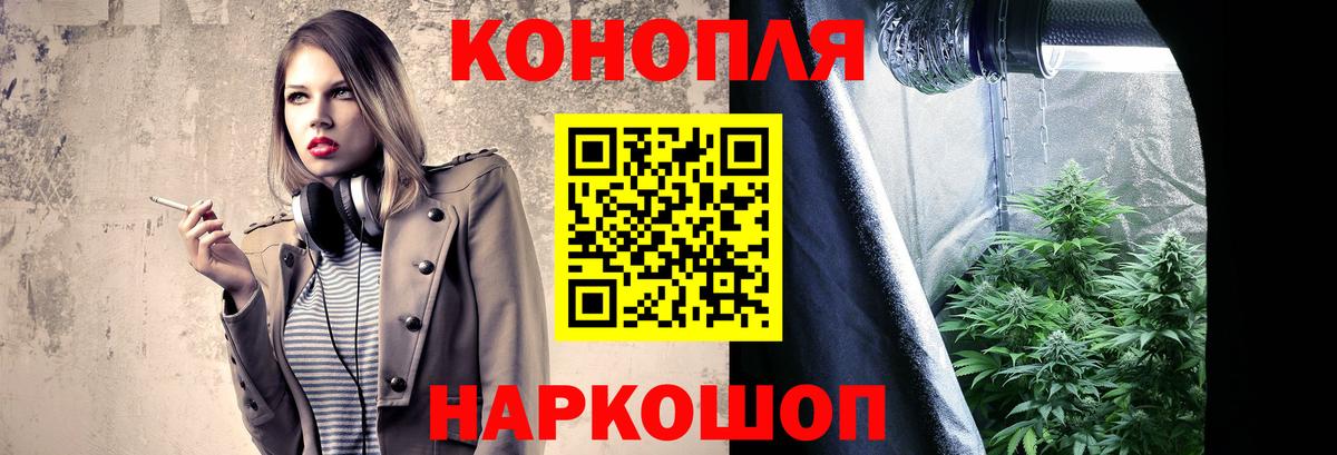 Бошки Шишки планчик  Бошки Шишки семена  Вход с VPN  Усолье-Сибирское  Шишки марихуана THC 21% 